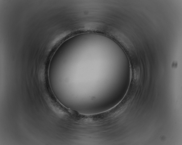 X0000096650588200802051157