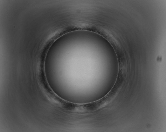 X0000096650591200802051157