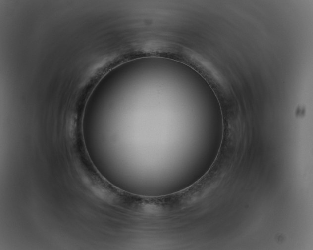 X0000096650592200802051157