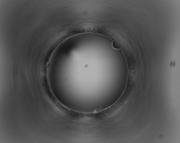 X0000096650593200802051157