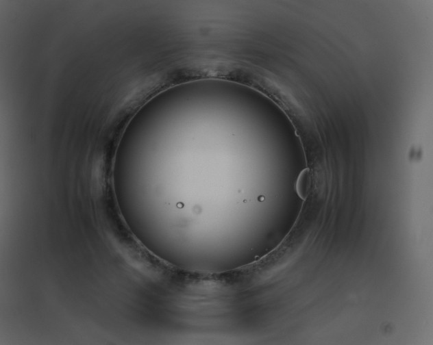 X0000096650594200802051157