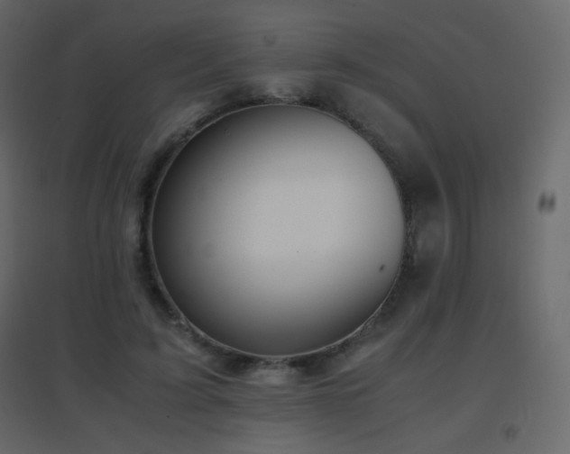 X0000096650595200802051157