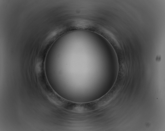 X0000096650596200802051157