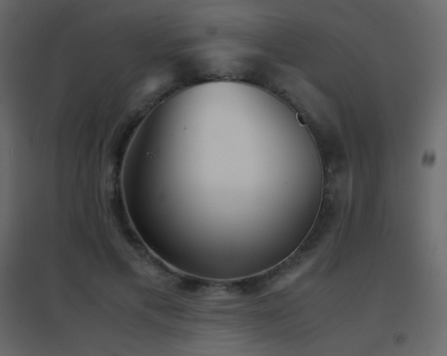 X0000096650597200802051157