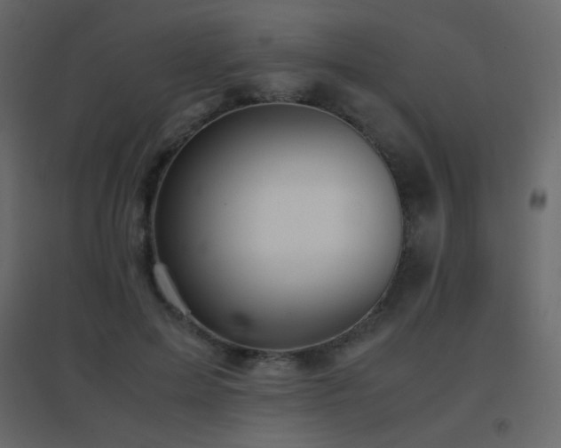 X0000096650599200802051157