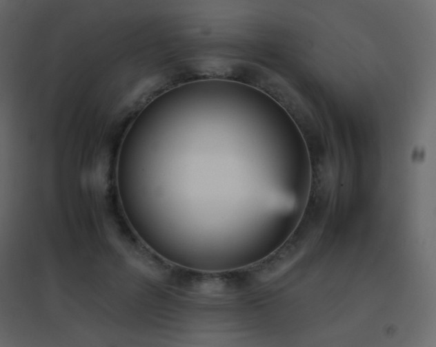 X0000096650600200802051157