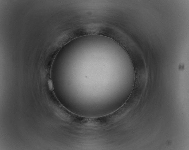 X0000096650601200802051157