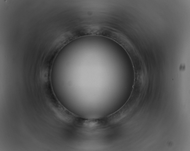 X0000096650602200802051157
