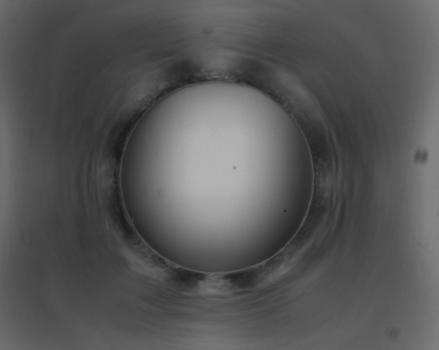 X0000096650603200802051157
