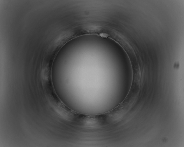 X0000096650604200802051157