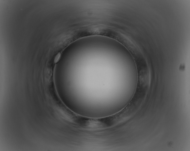 X0000096650605200802051156