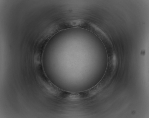 X0000096650606200802051156