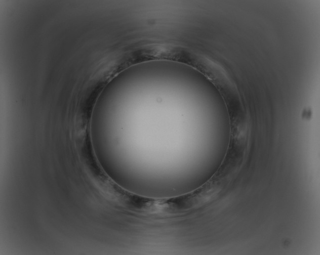 X0000096650607200802051156