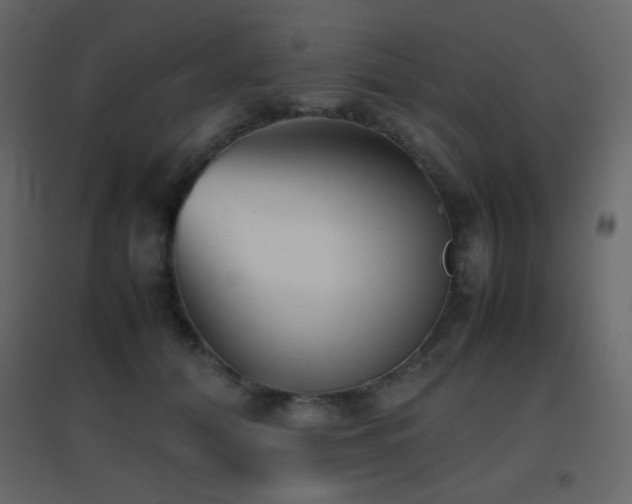 X0000096650608200802051156