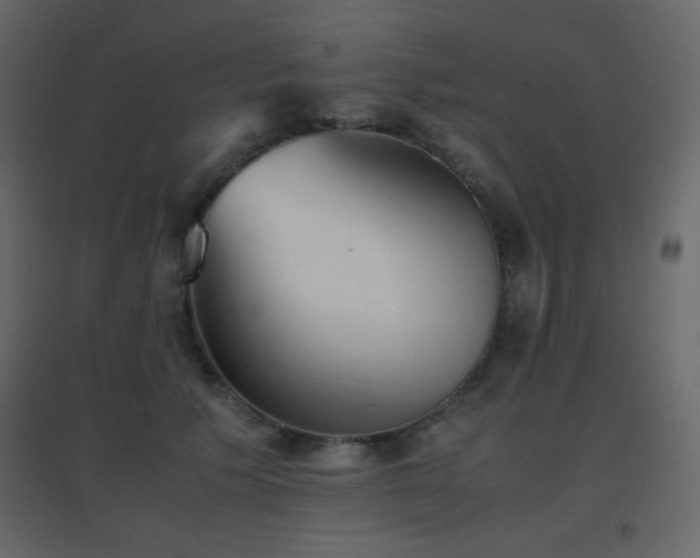 X0000096650609200802051156