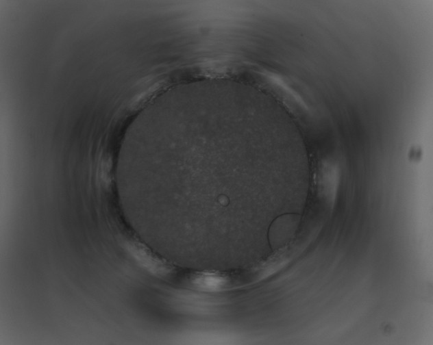 X0000096650610200802051156