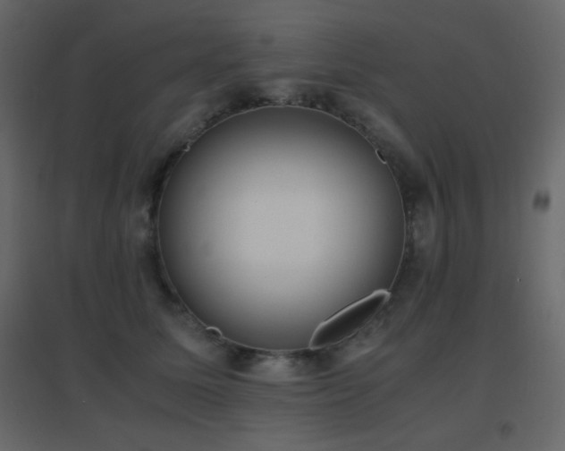 X0000096650611200802051156