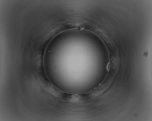 X0000096650612200802051156