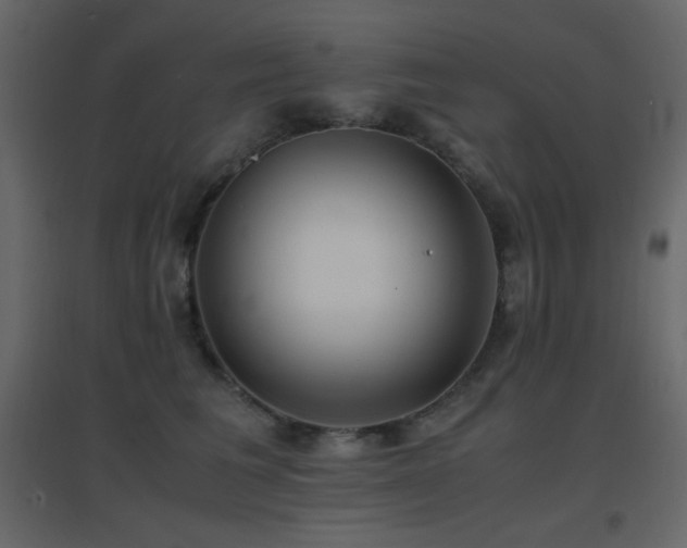 X0000096650613200802051156
