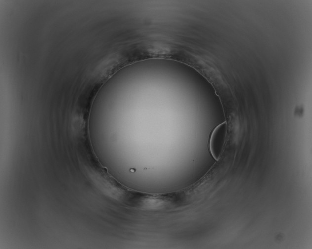 X0000096650614200802051156