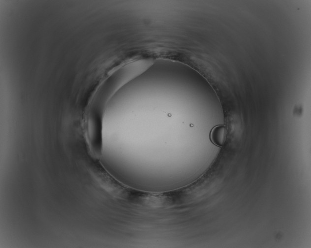 X0000096650615200802051156