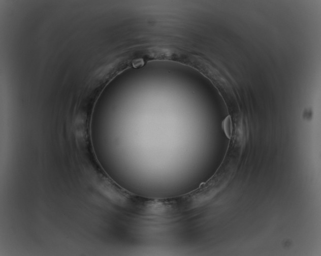 X0000096650616200802051156
