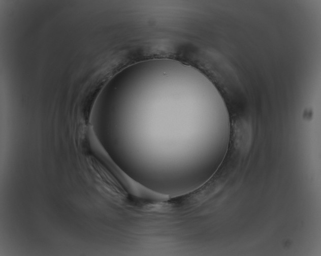 X0000096650617200802051156