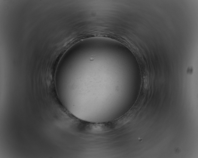 X0000096650618200802051156