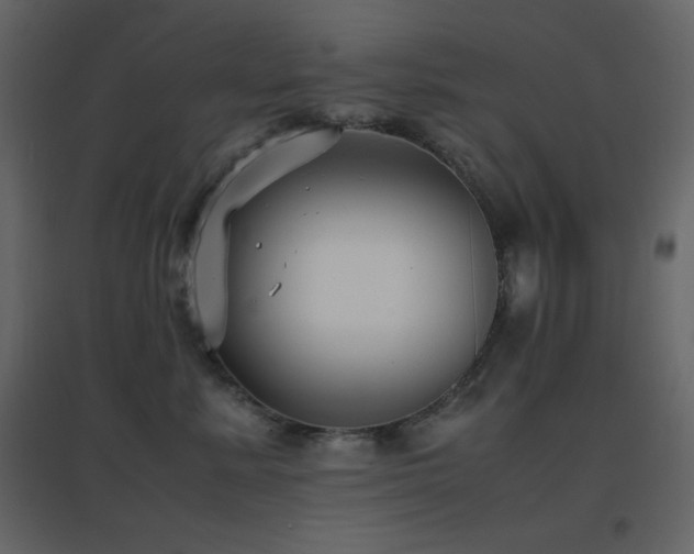 X0000096650619200802051156