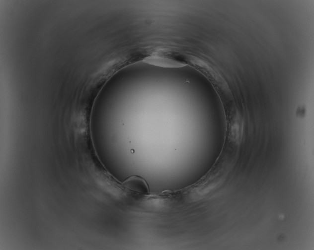 X0000096650620200802051156