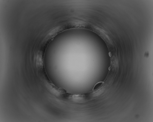 X0000096650622200802051156