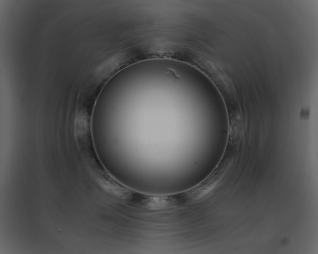 X0000096650623200802051156