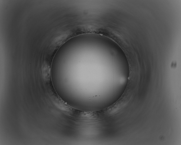 X0000096650624200802051156