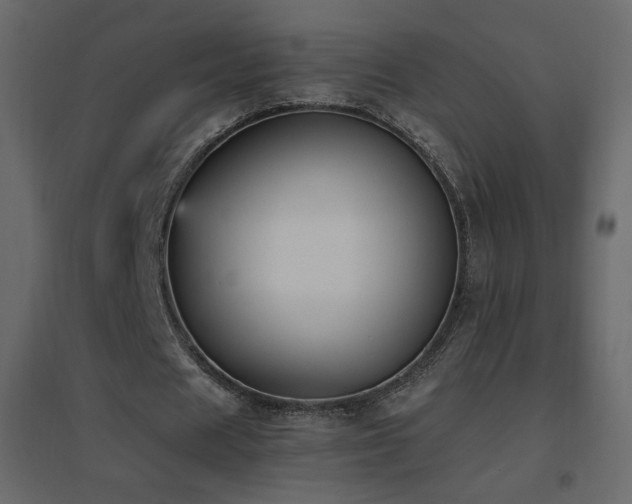 X0000096650625200802051156