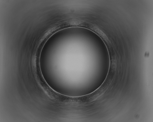 X0000096650626200802051156