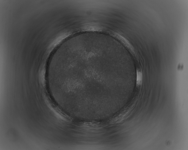 X0000096650627200802051156