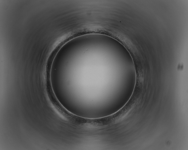 X0000096650630200802051156