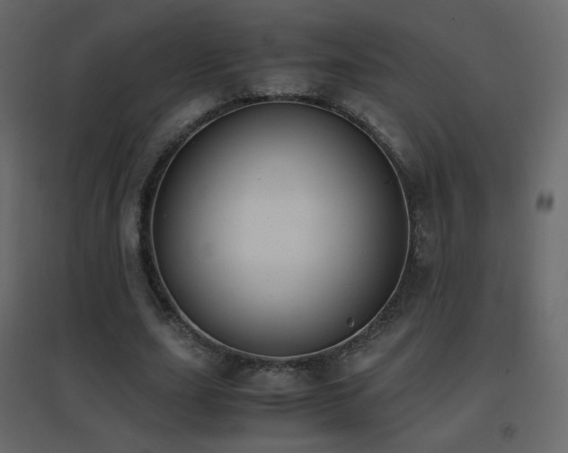 X0000096650631200802051156