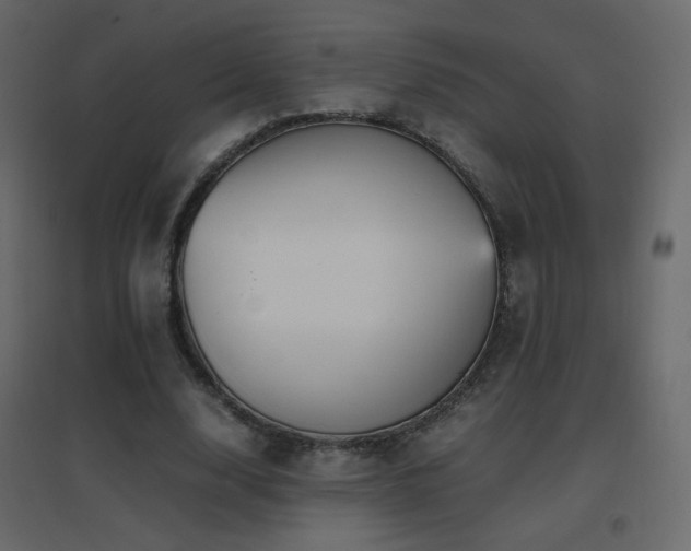 X0000096650632200802051156