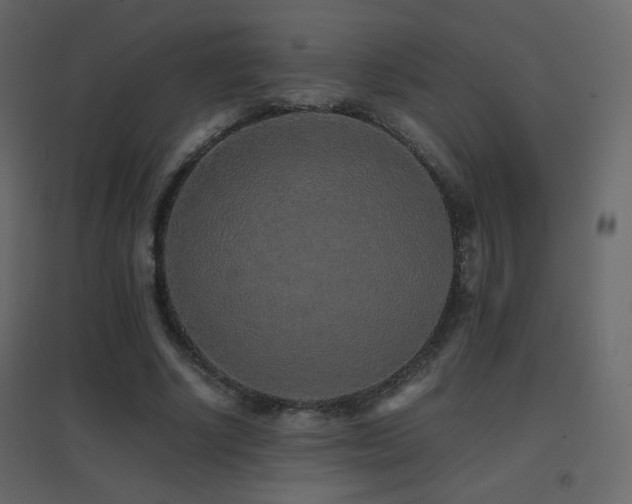 X0000096650634200802051156