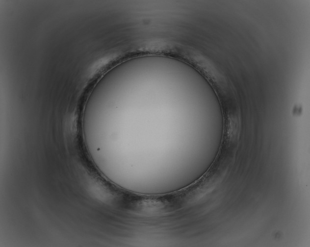 X0000096650636200802051156