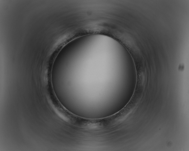 X0000096650638200802051156