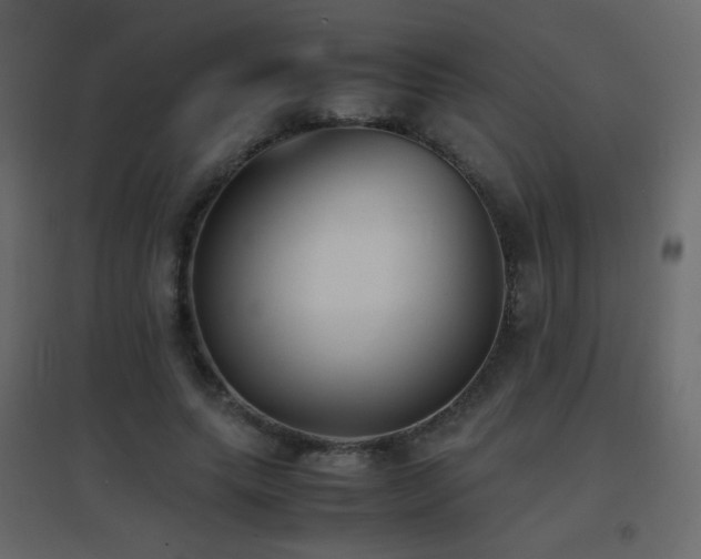 X0000096650639200802051156