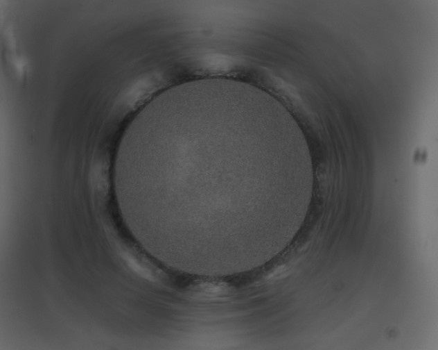 X0000096650642200802051156