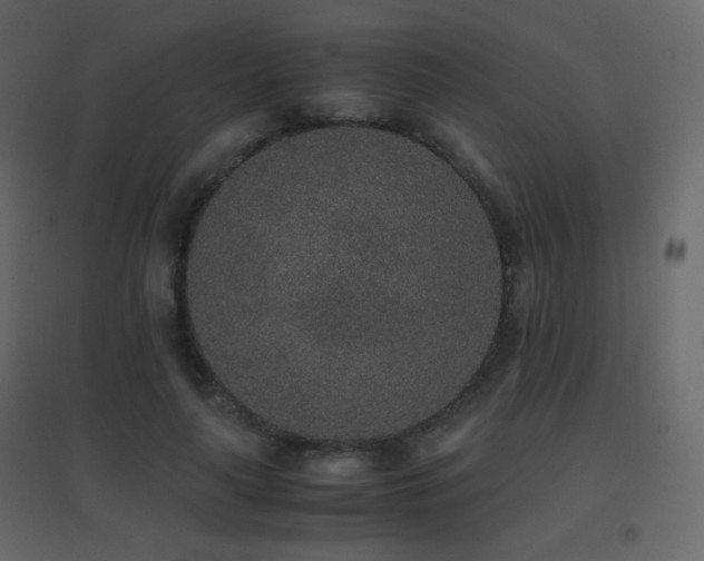 X0000096650643200802051156