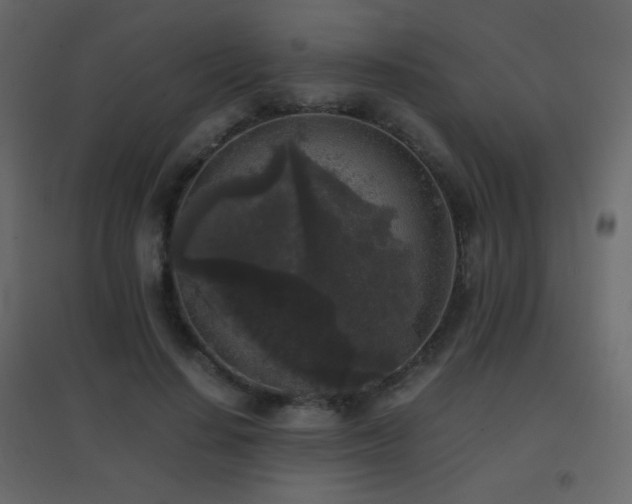 X0000096650644200802051156