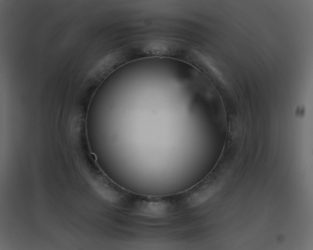 X0000096650645200802051156