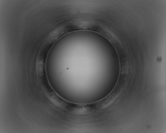 X0000096650646200802051156