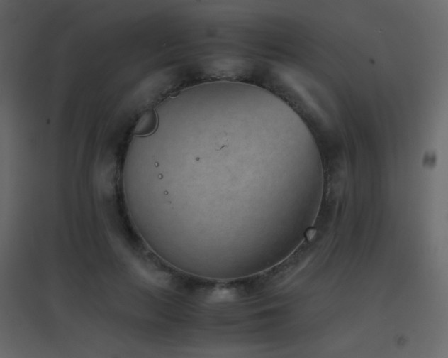 X0000096650647200802051156