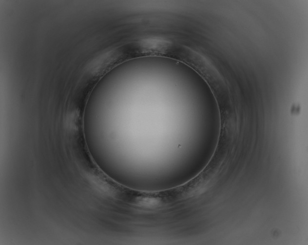 X0000096650649200802051156